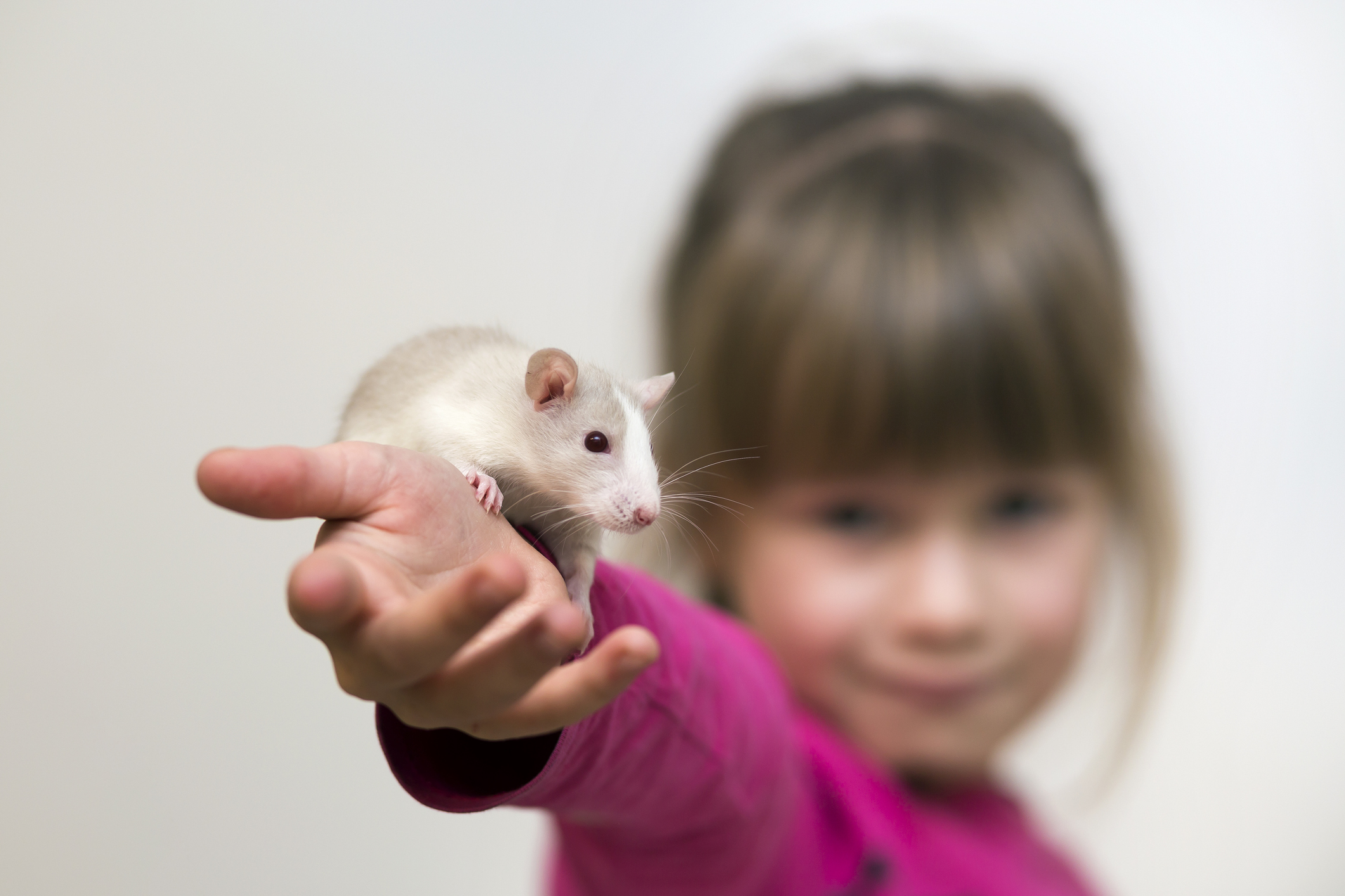Los ricos ponen en juego el futuro de sus hijos: ¿Se están convirtiendo los hijos de la élite en conejillos de indias de la inteligencia artificial?
